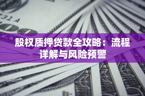 武汉股权质押贷款全攻略：流程详解与风险预警