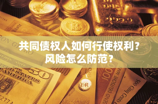 武汉共同债权人如何行使权利？风险怎么防范？