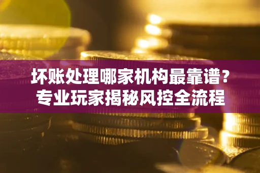 武汉坏账处理哪家机构最靠谱？专业玩家揭秘风控全流程