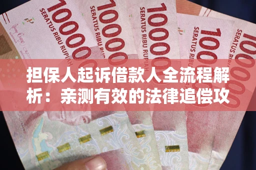 武汉担保人起诉借款人全流程解析：亲测有效的法律追偿攻略