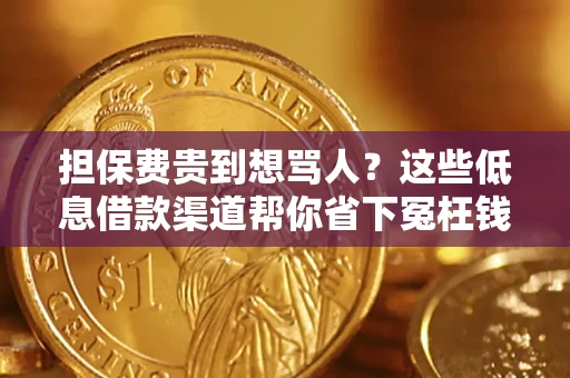 武汉担保费贵到想骂人？这些低息借款渠道帮你省下冤枉钱