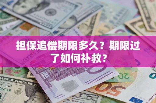 武汉担保追偿期限多久？期限过了如何补救？