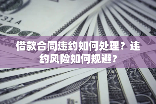 武汉借款合同违约如何处理？违约风险如何规避？