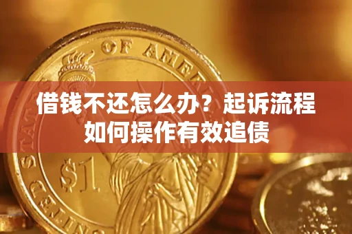 武汉借钱不还怎么办？起诉流程如何操作有效追债