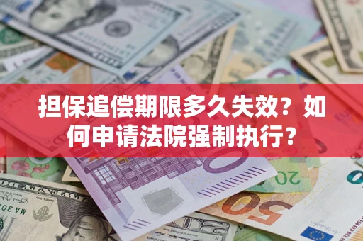 武汉担保追偿期限多久失效？如何申请法院强制执行？