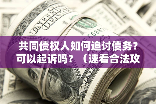 武汉共同债权人如何追讨债务？可以起诉吗？（速看合法攻略）
