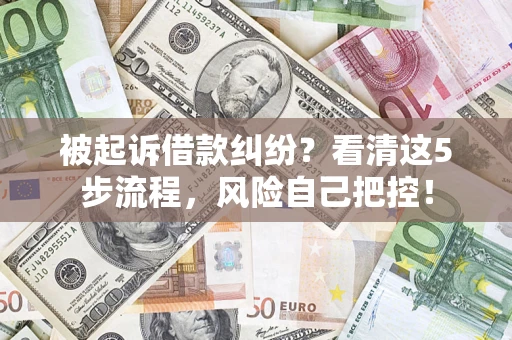 武汉被起诉借款纠纷？看清这5步流程，风险自己把控！