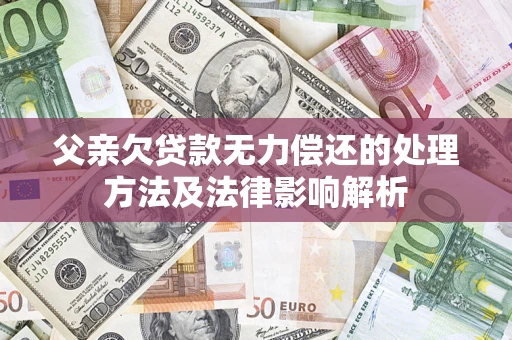 武汉父亲欠贷款无力偿还的处理方法及法律影响解析