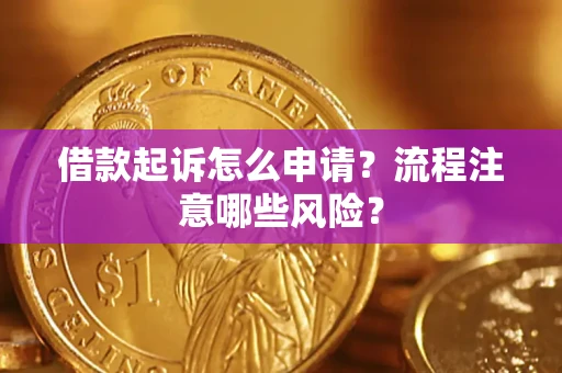 武汉借款起诉怎么申请？流程注意哪些风险？